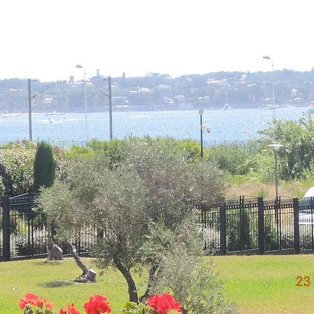 Les Pins Bleus - Antibes Les Pins Lägenhet